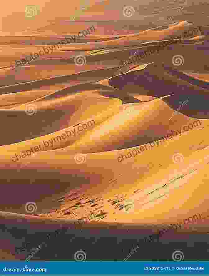 A Captivating Sunset Over The Vast Sahara Desert, Casting Long Shadows Across The Undulating Sand Dunes. When The Sahara Was Green: How Our Greatest Desert Came To Be