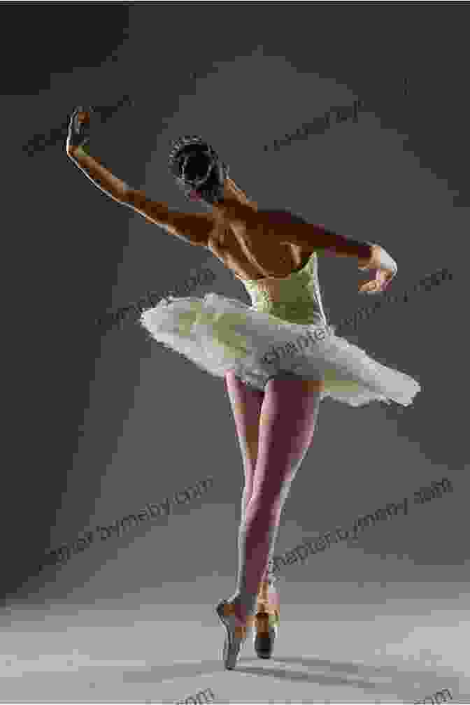 A Graceful Ballerina Poised En Pointe, Her Toes Extended And Body Arched In Perfect Form. Toe To Toe (On Pointe 1)