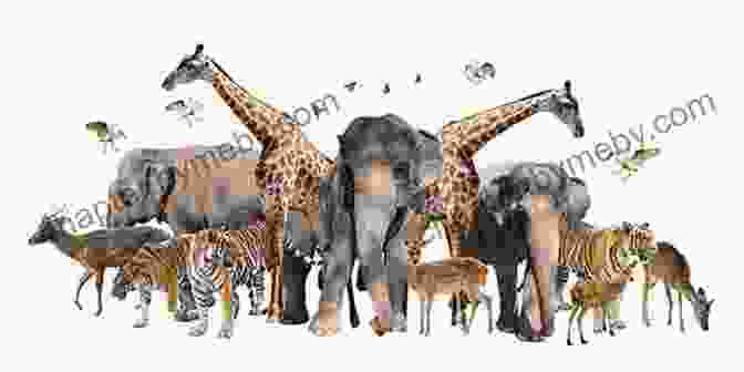 A Group Of Animals, Including A Lion, Elephant, Monkey, And Zebra, Laughing Together 101 Zoo Tastic Animal Jokes For Kids