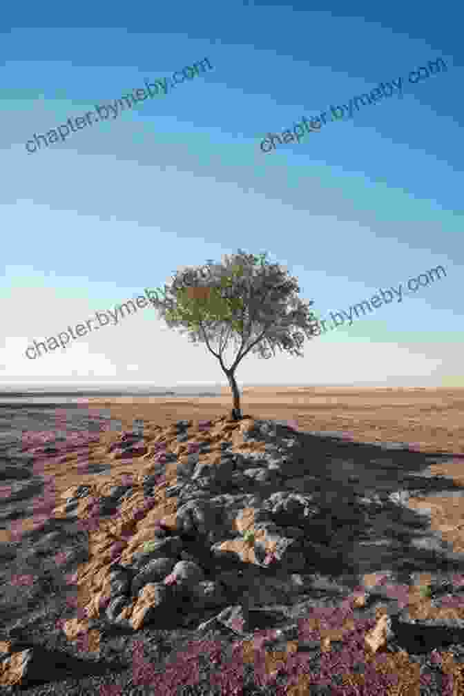 A Lone, Vibrant Tree Thriving Amidst A Barren Desert Landscape. The Desert And The Sea: 977 Days Captive On The Somali Pirate Coast