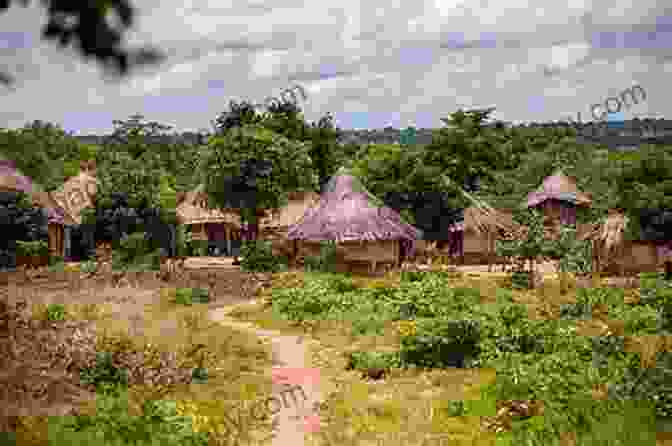 A Vibrant And Lively African Village, Teeming With Human Interaction It Shouldn T Happen: Light Hearted African Adventures