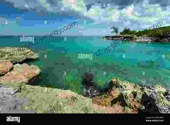 Aerial View Of Turquoise Waters And Lush Greenery In The Bahamas How To Buy And Sell Real Estate In The Bahamas