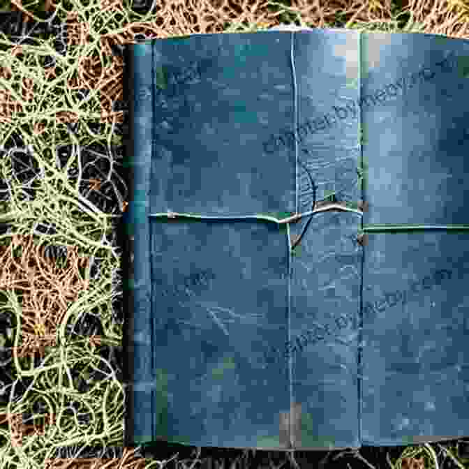 An Ancient Tome, Its Pages Filled With Cryptic Runes, Lies Open On A Stone Altar In A Dimly Lit Chamber King Puck Michael Garland