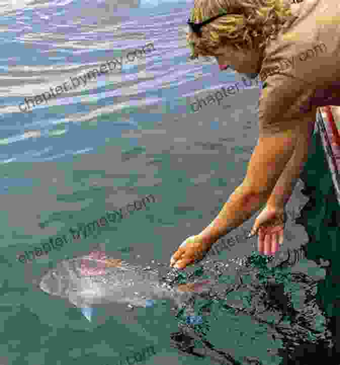 Angler Releasing Fish Back Into The Water Incredible And True Fishing Stories: Hilarious Feats Of Bravery Tales Of Disaster And Revenge Shocking Acts Of Fish Aggression Stories Of Impossible Victories And Crushing Defeats