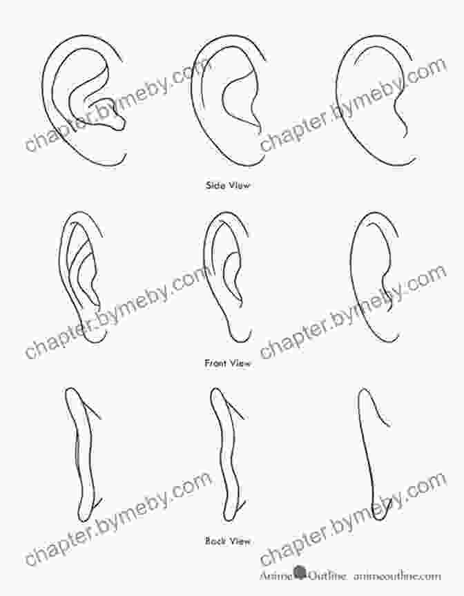 Anime And Manga Ear Shapes Draw 1 Boy In 20 Expressions: Learn How To Draw Anime Faces And Manga Facial Expressions (Draw 1 In 20 12)