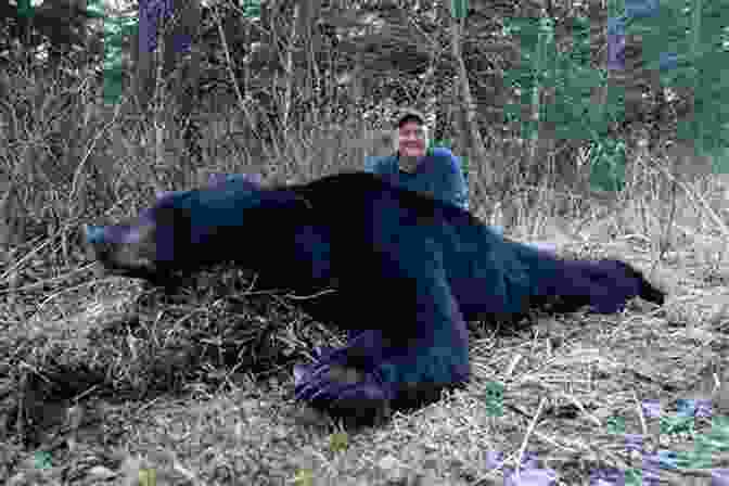 Cover Image Of The Ultimate Guide To Black Bear Hunting The Ultimate Guide To Black Bear Hunting