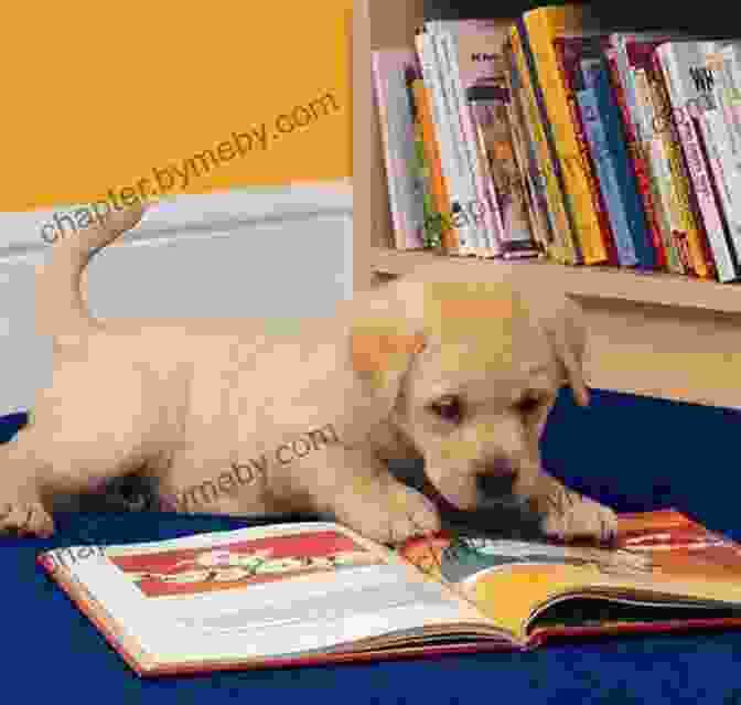 Enthusiastic Children Engrossed In Reading 'My Birthday Puppy' My Birthday Puppy Sarah Ridley