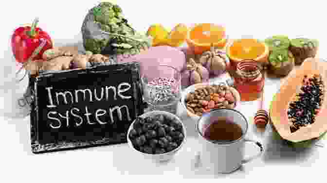 Illustration Of A Healthy Diet And Lifestyle For Immune System Support An Elegant Defense: The Extraordinary New Science Of The Immune System: A Tale In Four Lives