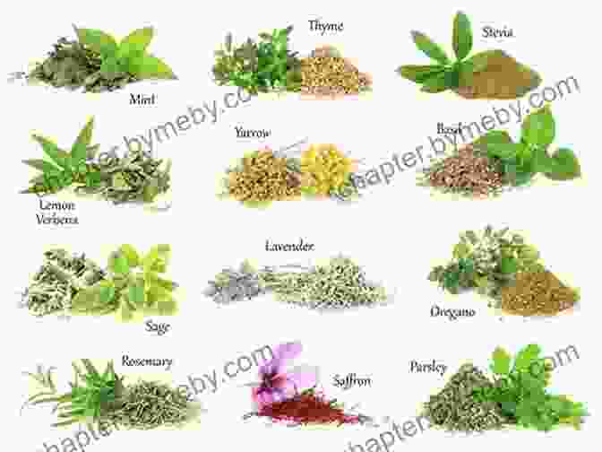 Image Of A Variety Of Herbs And Supplements The Healing Self: A Revolutionary New Plan To Supercharge Your Immunity And Stay Well For Life