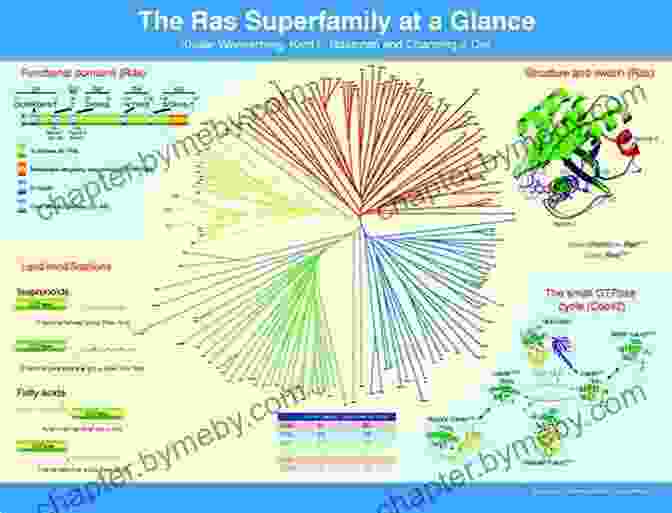 Implications Of Ras Superfamily Small Proteins In Human Health Ras Superfamily Small G Proteins: Biology And Mechanisms 1: General Features Signaling