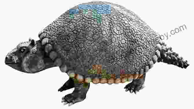 Intricate Shell Of A Glyptodon Horned Armadillos And Rafting Monkeys: The Fascinating Fossil Mammals Of South America (Life Of The Past)