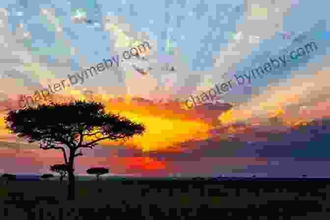 Magnificent African Sunset Over A Sprawling Savanna It Shouldn T Happen: Light Hearted African Adventures