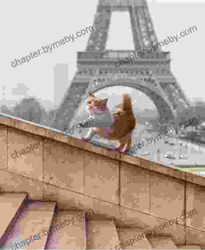 Norton The Cat Posing In Front Of The Eiffel Tower The Cat Who Went To Paris (Norton The Cat)