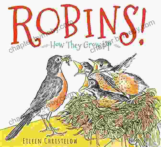 Oliver Birthday And The Robin Nest Book Cover Oliver S Birthday And The Robin S Nest