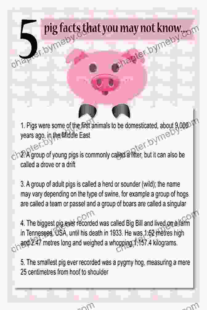 Pigs Just Facts For Kids Book Cover Pigs : Just Facts For Kids