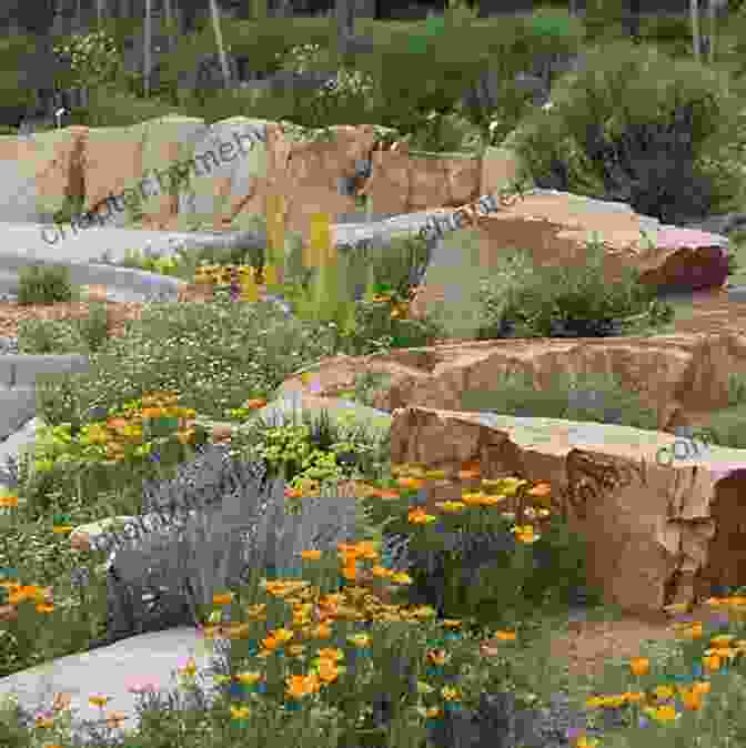 Sustainable Landscape With Native Plants And Water Wise Features The Garden Awakening: Designs To Nurture Our Land And Ourselves