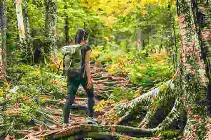 The Cover Of Blazing My Own Trail, Featuring A Woman Hiking Through A Rugged Landscape Between The Deaf And Hearing Worlds: Blazing My Own Trail