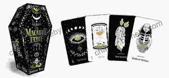 The Zombie Tarot Deck Presents A Macabre And Thought Provoking Exploration Of Mortality, Decay, And Regeneration. The Black Light Book: Serious Serie Of New Tarots