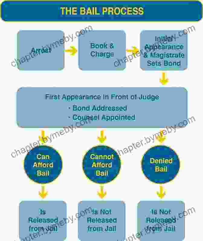 Understanding The Principles Of Reasonable Bail And Fines I Know My Rights: A Children S Guide To The Bill Of Rights And Individual Liberty