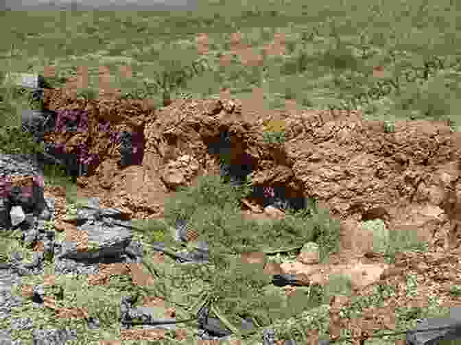 Unravel The Mystery Of The Phantom Lode In Arizona, Reputed To Hold A Fortune In Gold And Silver, As Revealed In Barker Texas History. Coronado S Children: Tales Of Lost Mines And Buried Treasures Of The Southwest (Barker Texas History Center 3)