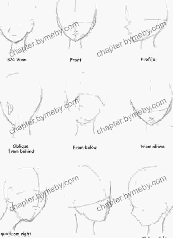 Variations In Anime And Manga Head Shapes Draw 1 Boy In 20 Expressions: Learn How To Draw Anime Faces And Manga Facial Expressions (Draw 1 In 20 12)