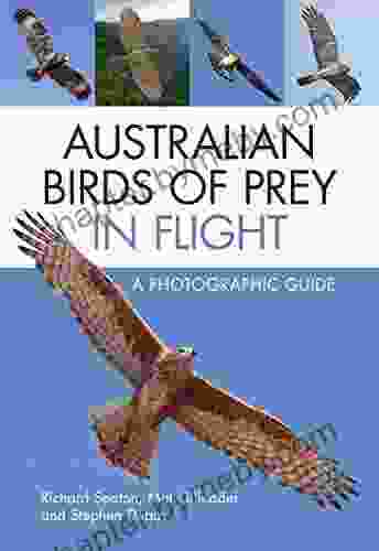 Australian Birds of Prey in Flight: A Photographic Guide