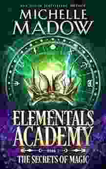 Elementals Academy 2: The Secrets of Magic