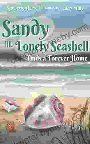 Sandy the Lonely Seashell Finds a Forever Home