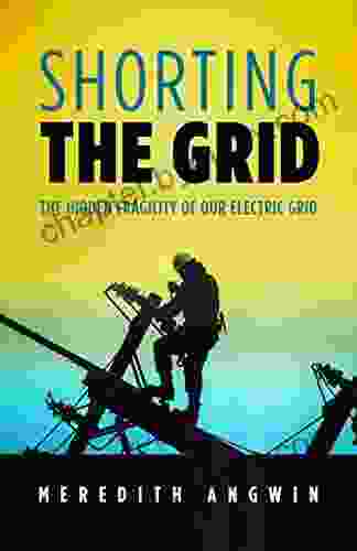 Shorting The Grid: The Hidden Fragility Of Our Electric Grid