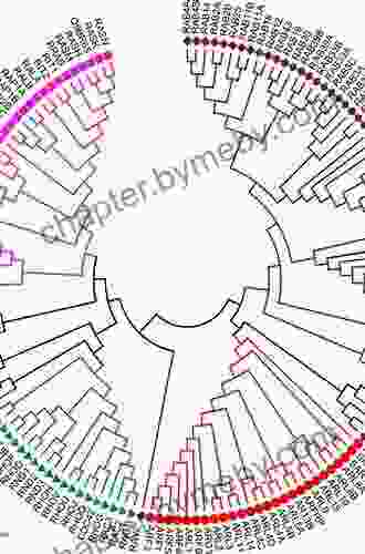 Ras Superfamily Small G Proteins: Biology And Mechanisms 1: General Features Signaling